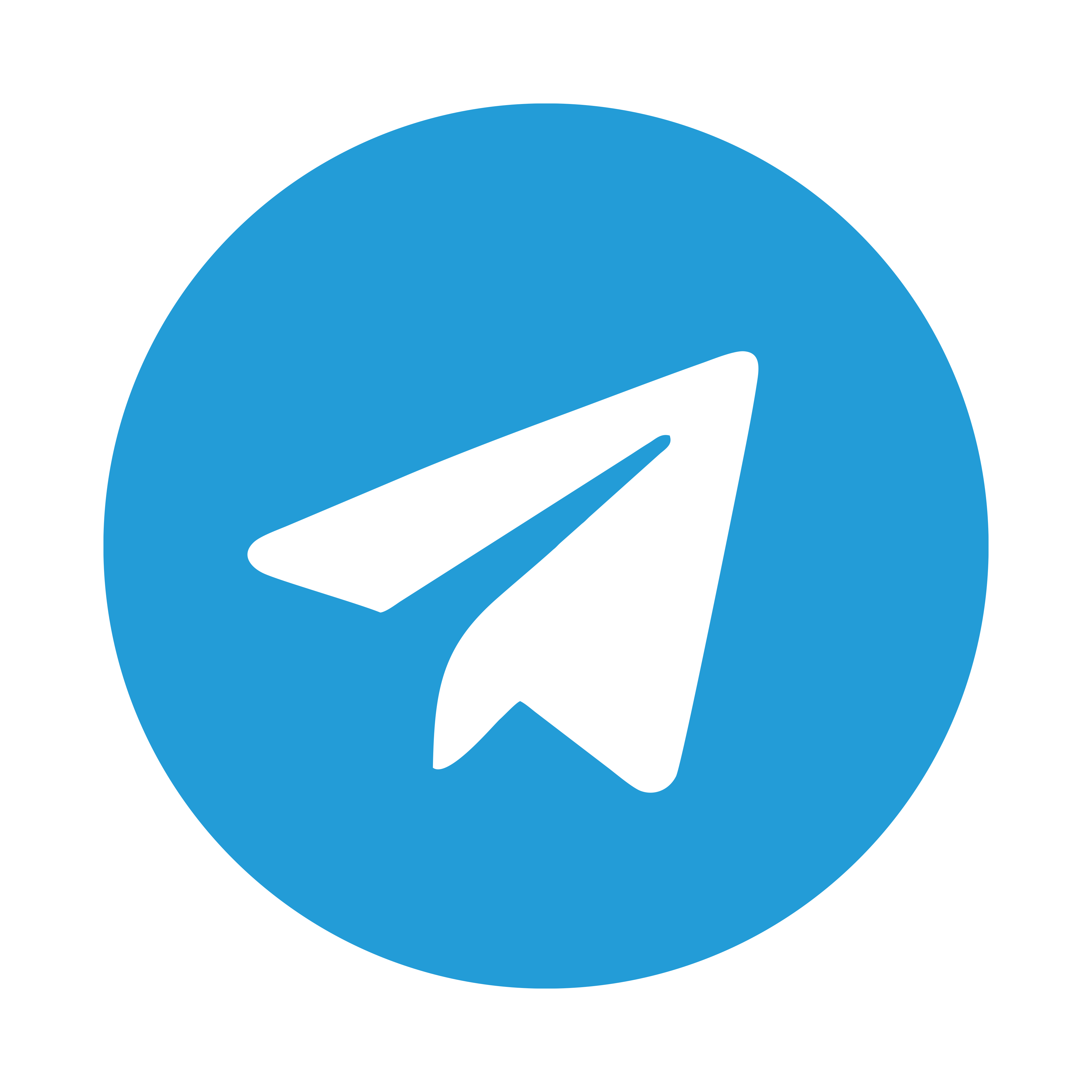 Telegram Members | Provider Non Drop