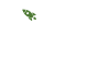 SMM Turtle