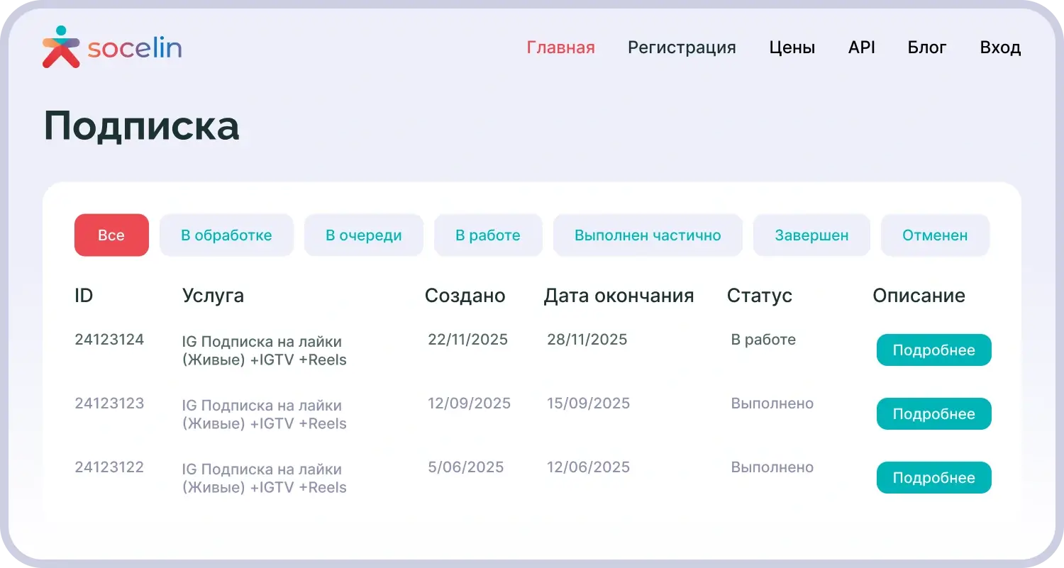 Интерфейс личного кабинета с активной подпиской на накрутку в Instagram — автоматическое добавление лайков и просмотров без ручного запуска