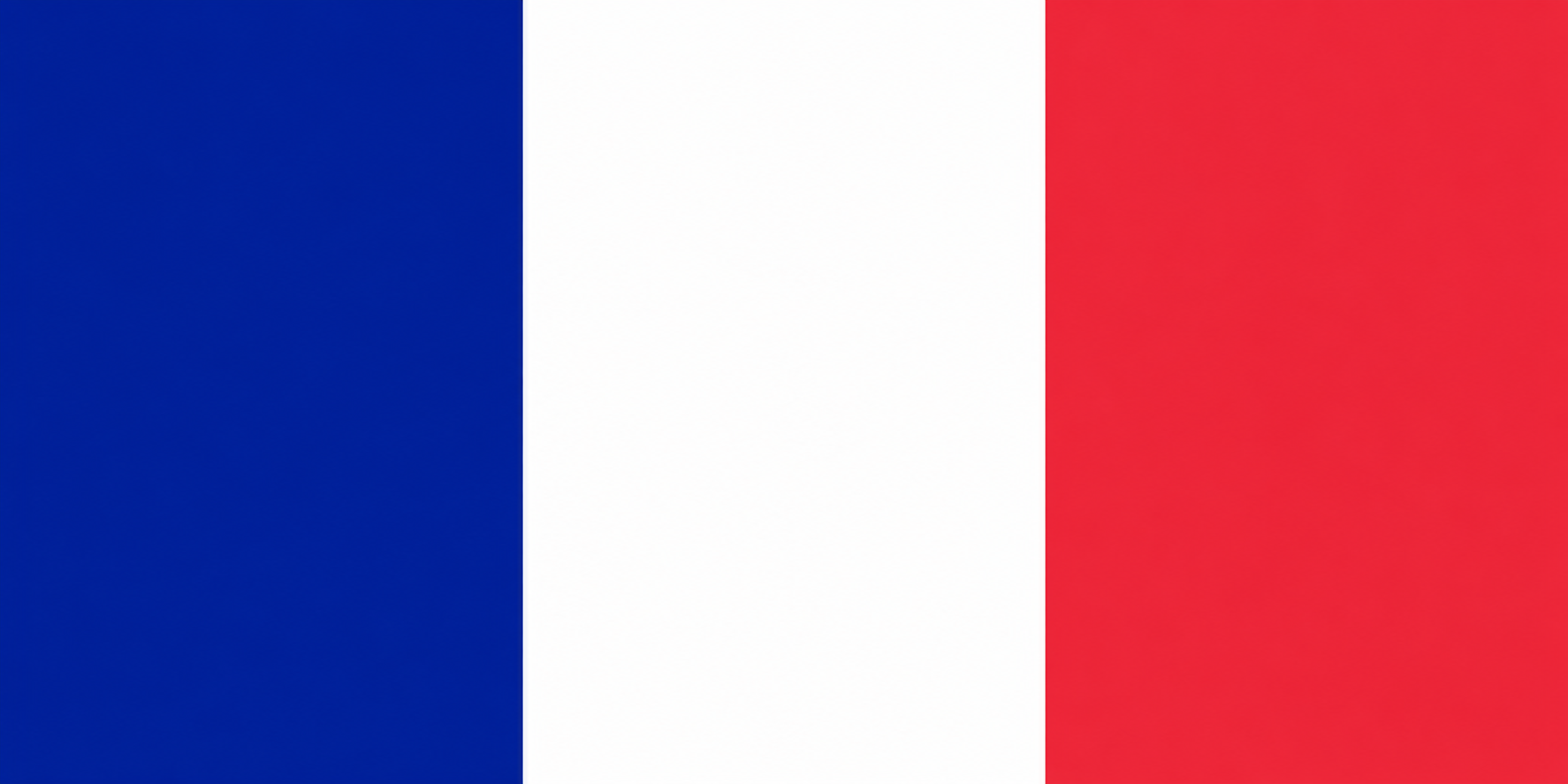 Bandiera della Francia