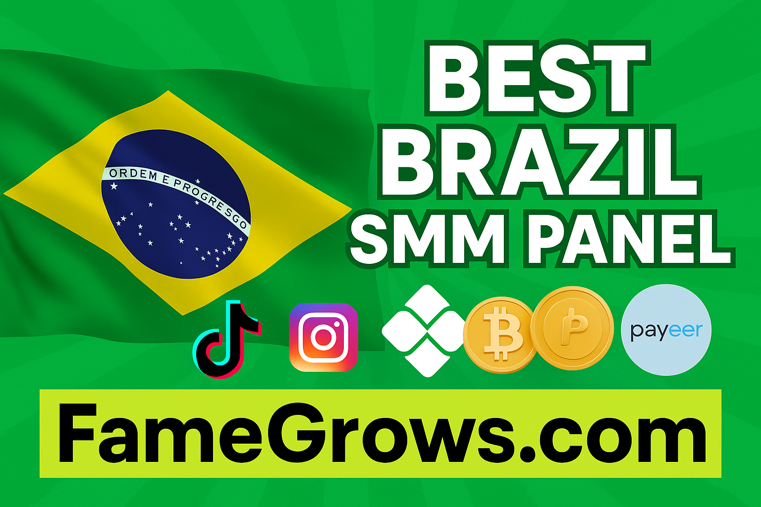 Best Brazilian SMM Panel – Boost TikTok & Instagram with FameGrows.com
