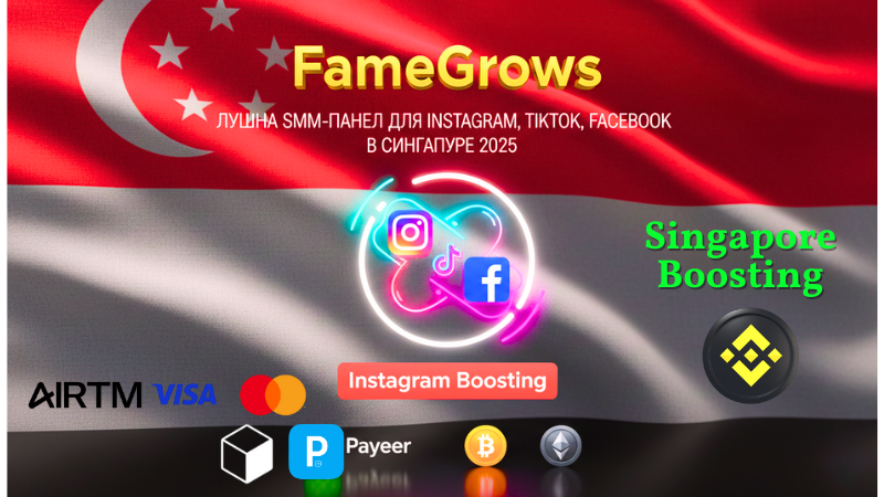 Boost Your Singapore Business with FameGrows: The Ultimate Social Media Boosting Panel for Beauty, Fashion, and Entrepreneurs