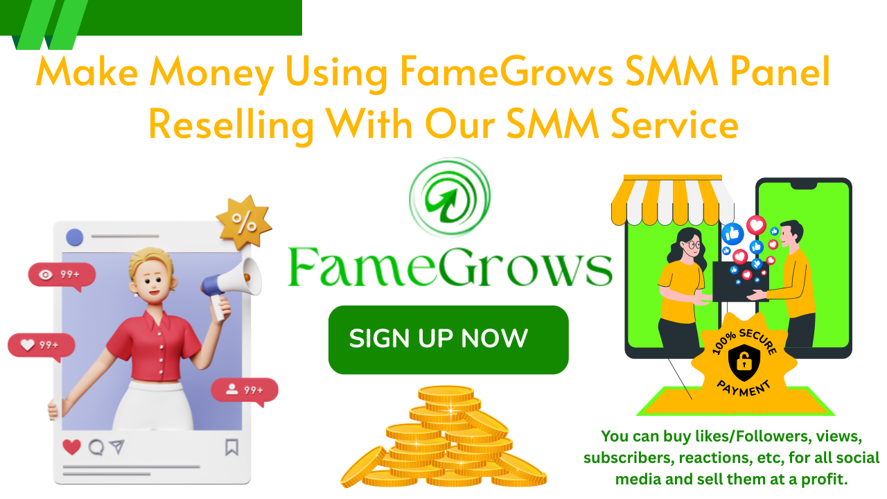 How to Build a Passive Income Reselling SMM Services with FameGrows Panel