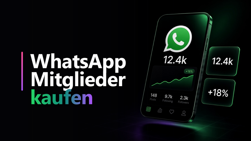 WhatsApp Channel -Follower & Views – Überblick