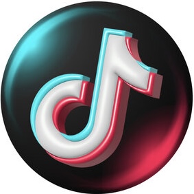 TikTok [ Followers ]